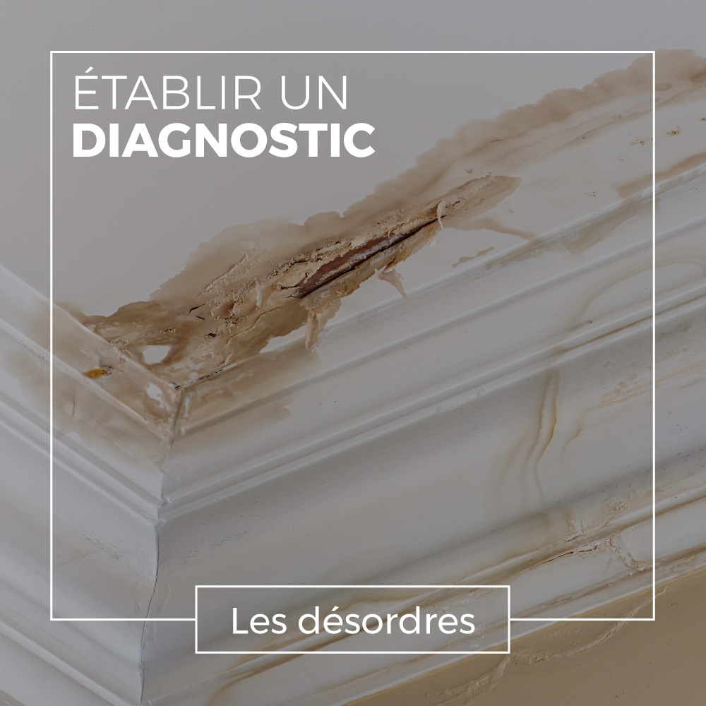 Intervention de diagnostic Aster BTP
